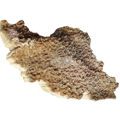 20250717_152316-copy-5